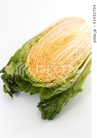 白菜 白菜 41432704