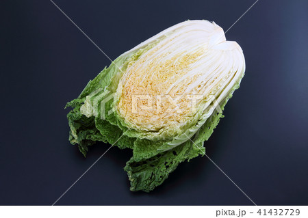 白菜 白菜 41432729