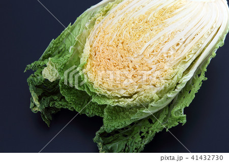 白菜 白菜 41432730