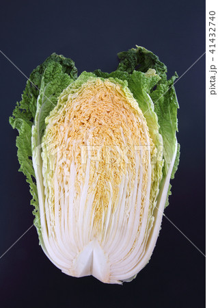 白菜 白菜 41432740