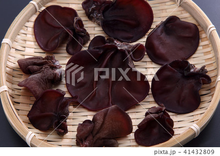 きくらげ 41432809