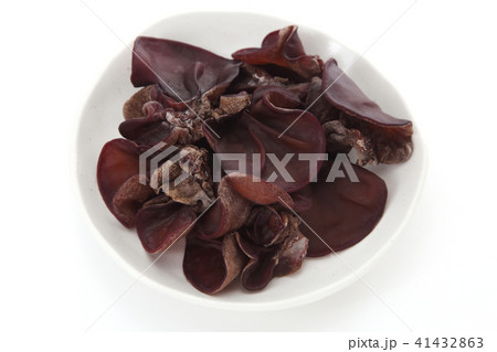 きくらげ きくらげ 41432863