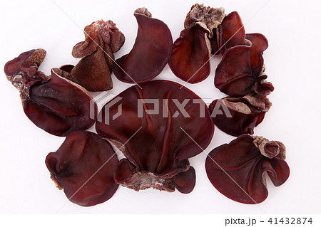 きくらげ 41432874