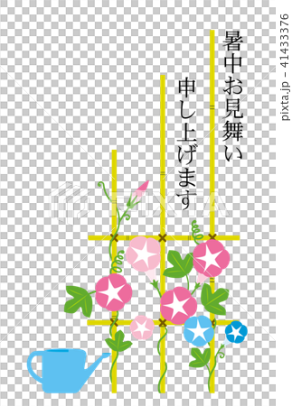 暑中お見舞い　あさがお 41433376