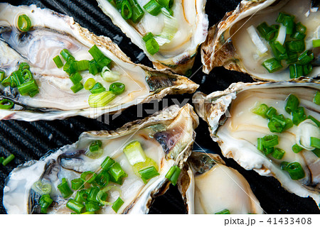Close up open oysters on black plate 41433408