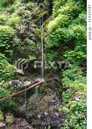 烏川渓谷 延命水 安曇野市 烏川渓谷 延命水 安曇野市 41434187