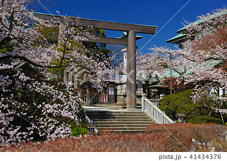 神奈川県横浜市　伊勢山皇大神宮 41434376
