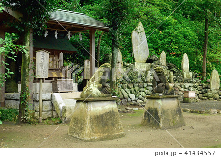 神奈川県鎌倉市 御霊神社 神奈川県鎌倉市 御霊神社 41434557