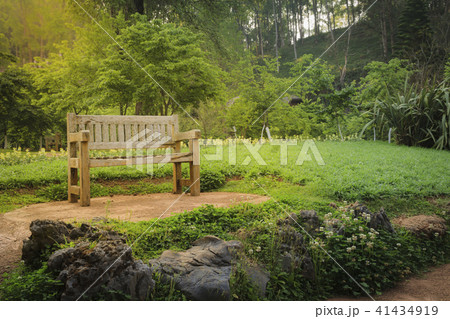 Bench wood in the garden, In sunlight beam. Bench wood in the garden, In sunlight beam. 41434919
