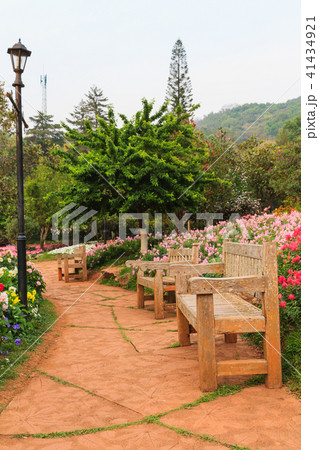 Bench wood in the garden. Bench wood in the garden. 41434921