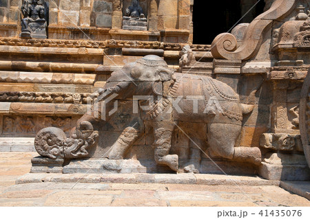 Elephant near steps Airavatesvara Temple Darasuram 41435076