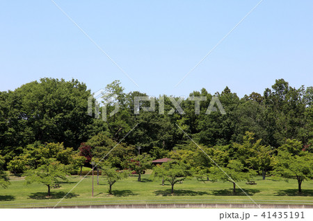 爽やかな風景 爽やかな風景 41435191