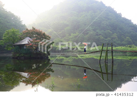風景 湖 池 41435312