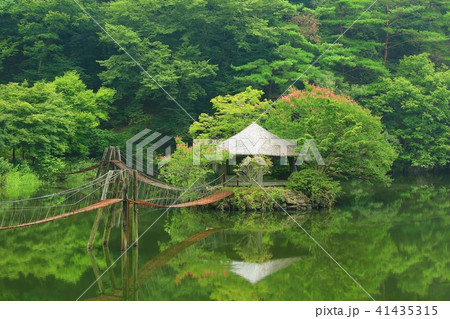 木 風景 湖 41435315