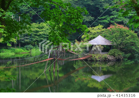 田舎 池 足 41435316