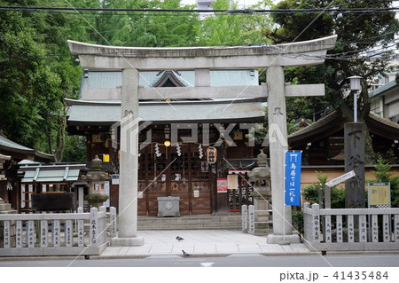 下谷神社　上野　東京　台東区 41435484