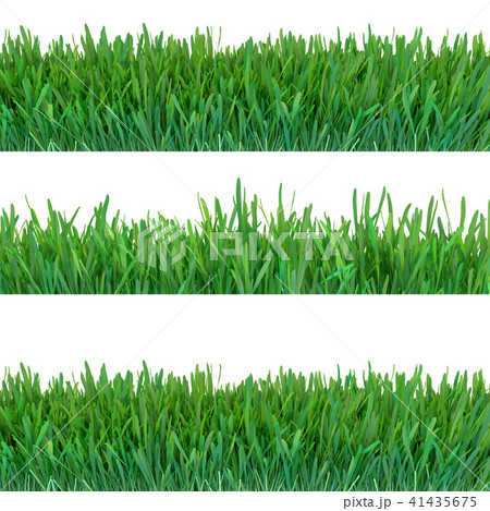 Green grass banners set. Nature background. Meadow. Spring, summer season. Plant growth 3d rendering Green grass banners set. Nature background. Meadow. Spring, summer season. Plant growth 3d rendering 41435675