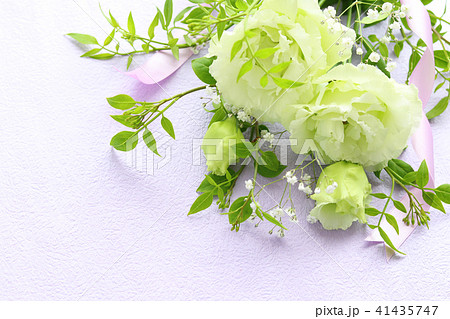 トルコキキョウのお供え花 トルコキキョウのお供え花 41435747