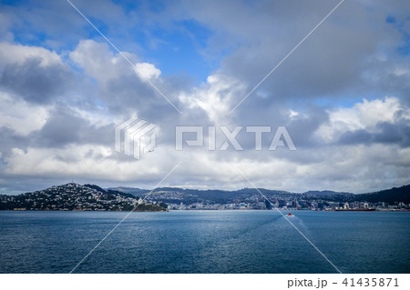 Wellington city view from the sea, New Zealand 41435871