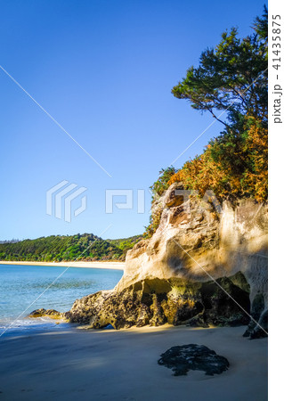 Creek at sunset in Abel Tasman Park, New Zealand 41435875