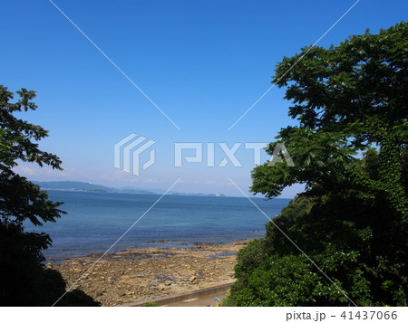 夏の海 夏の海 41437066