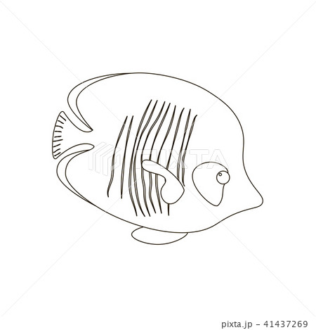 Chaetodon semilarvatus fish coloring pages 41437269