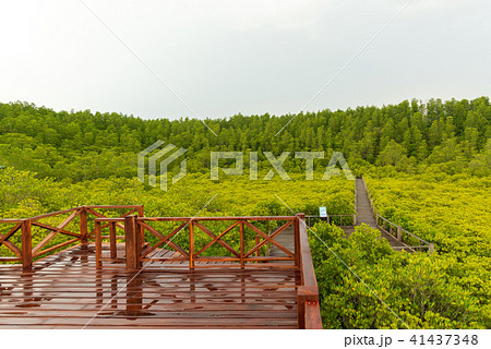 Tung Prong Thong 41437348