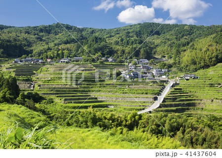 別府内成の棚田 41437604