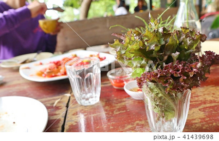 organic lettuce in glass of water 41439698