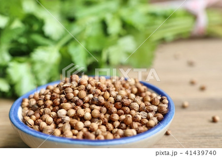 Coriander seeds and fresh Coriander seeds and fresh 41439740