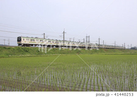 初夏の水田と宇都宮線205系8両（元京葉線車両） 41440253