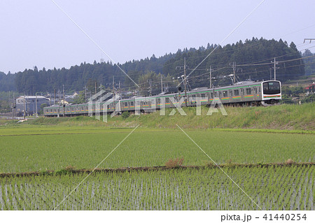 初夏の水田と宇都宮線205系8両（元京葉線車両） 41440254