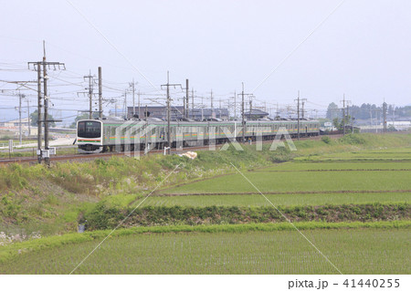 初夏の水田と宇都宮線205系8両（元京葉線車両） 41440255