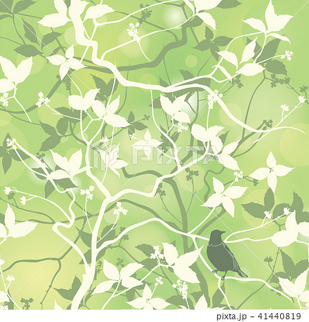 Birds on branch background Floral seamless pattern 41440819