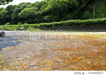 白絹の床・北湯沢温泉 白絹の床・北湯沢温泉 41440927