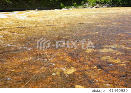 白絹の床・北湯沢温泉 41440929