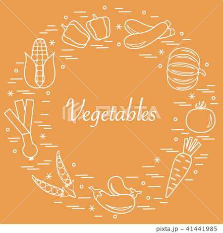 different autumn seasonal vegetables arranged in a different autumn seasonal vegetables arranged in a 41441985