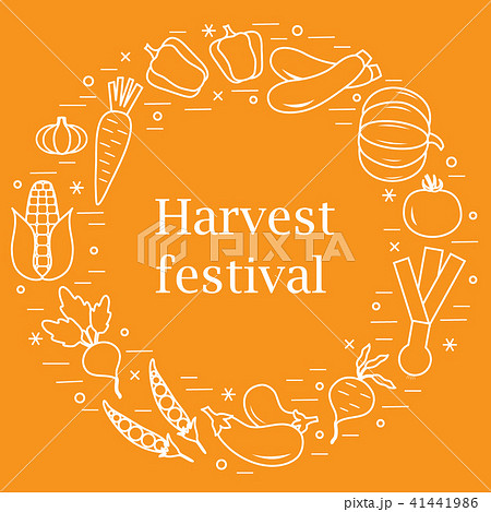 different autumn seasonal vegetables arranged in a 41441986