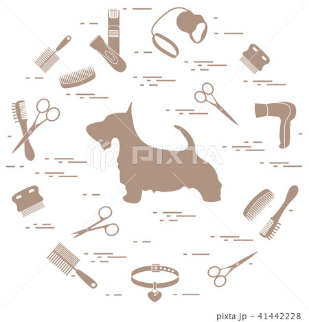 Scotch terrier silhouette, combs, collar, leash, 41442228