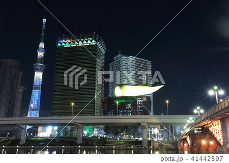 隅田川と東京スカイツリーの夜景 41442397