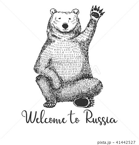 Sketch of a waving bear. Vector illustration 41442527