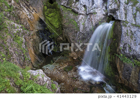 Dachserfall near Abtenau 41443129