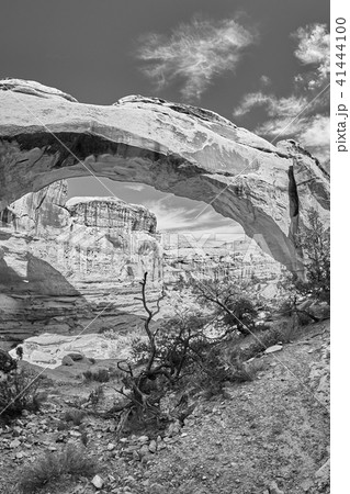 Hickman Bridge in Capitol Reef National Park, USA. Hickman Bridge in Capitol Reef National Park, USA. 41444100