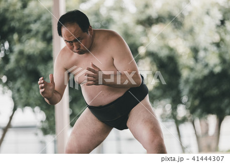 Sumo wrestling Sumo wrestling 41444307