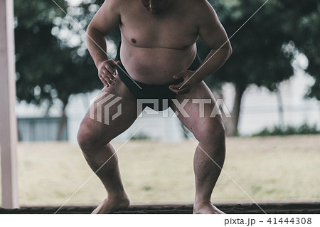 Sumo wrestling Sumo wrestling 41444308
