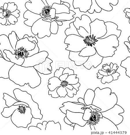 Poppy flower outline, seamless background Poppy flower outline, seamless background 41444379