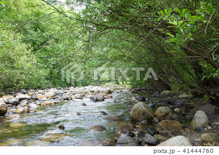 烏川渓谷緑地 水辺エリア 安曇野市の写真素材