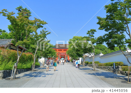 伏見稲荷大社　新表参道 41445056