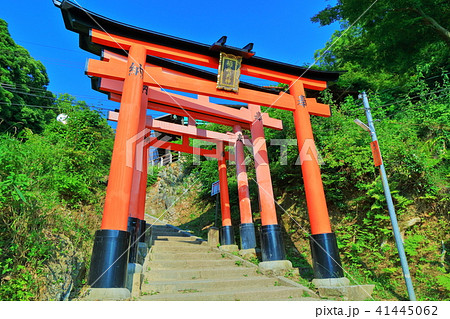 伏見稲荷 四ツ辻の鳥居の写真素材