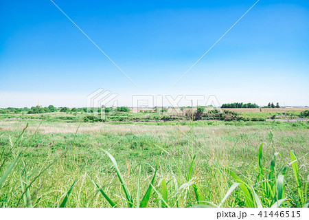 田舎の風景 41446515